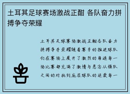 土耳其足球赛场激战正酣 各队奋力拼搏争夺荣耀