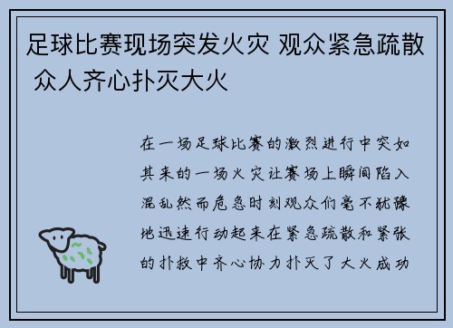 足球比赛现场突发火灾 观众紧急疏散 众人齐心扑灭大火
