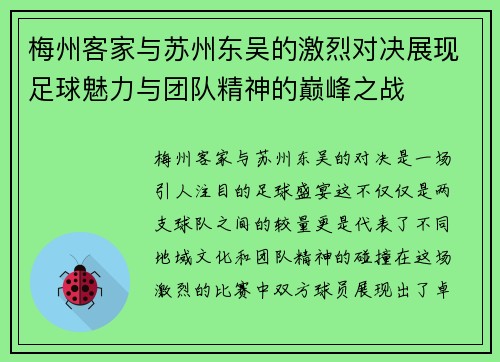梅州客家与苏州东吴的激烈对决展现足球魅力与团队精神的巅峰之战