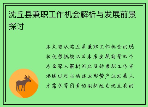 沈丘县兼职工作机会解析与发展前景探讨