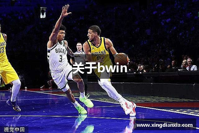 关于bwin